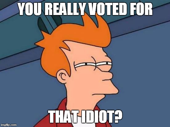Futurama Fry Meme | YOU REALLY VOTED FOR; THAT IDIOT? | image tagged in memes,futurama fry | made w/ Imgflip meme maker