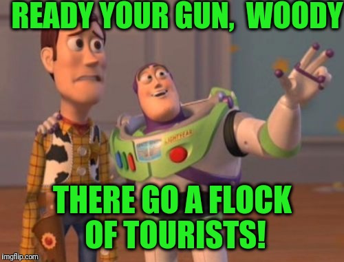 X, X Everywhere Meme | READY YOUR GUN,  WOODY THERE GO A FLOCK OF TOURISTS! | image tagged in memes,x x everywhere | made w/ Imgflip meme maker