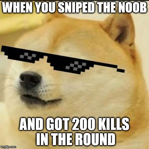 Sunglass Doge | WHEN YOU SNIPED THE NOOB; AND GOT 200 KILLS IN THE ROUND | image tagged in sunglass doge | made w/ Imgflip meme maker