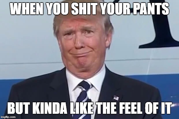 donald trump |  WHEN YOU SHIT YOUR PANTS; BUT KINDA LIKE THE FEEL OF IT | image tagged in donald trump | made w/ Imgflip meme maker