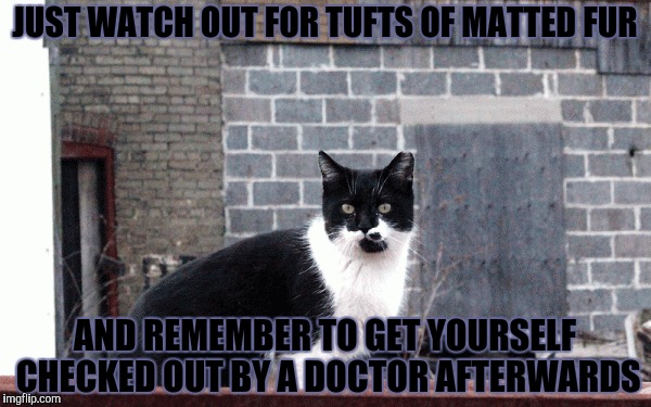 JUST WATCH OUT FOR TUFTS OF MATTED FUR AND REMEMBER TO GET YOURSELF CHECKED OUT BY A DOCTOR AFTERWARDS | made w/ Imgflip meme maker