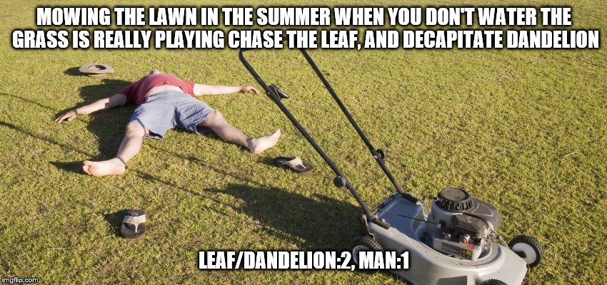 Mowing a lawn in the summer when you don't water it | MOWING THE LAWN IN THE SUMMER WHEN YOU DON'T WATER THE GRASS IS REALLY PLAYING CHASE THE LEAF, AND DECAPITATE DANDELION; LEAF/DANDELION:2, MAN:1 | image tagged in mowing a lawn in the summer when you don't water it | made w/ Imgflip meme maker