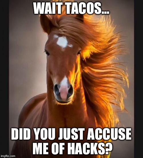 Horse | WAIT TACOS... DID YOU JUST ACCUSE ME OF HACKS? | image tagged in horse | made w/ Imgflip meme maker