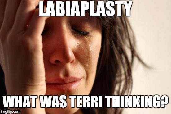 First World Problems Meme | LABIAPLASTY; WHAT WAS TERRI THINKING? | image tagged in memes,first world problems | made w/ Imgflip meme maker