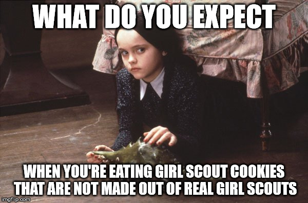 The World According to Wednesday Adams | WHAT DO YOU EXPECT; WHEN YOU'RE EATING GIRL SCOUT COOKIES THAT ARE NOT MADE OUT OF REAL GIRL SCOUTS | image tagged in wednesday,disaster girl,girl scout cookies,be afraid | made w/ Imgflip meme maker