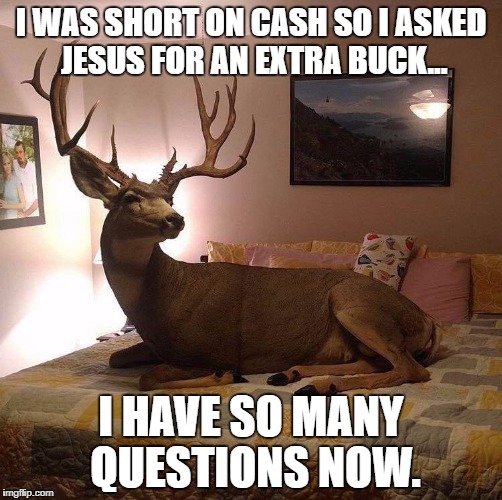 I WAS SHORT ON CASH SO I ASKED JESUS FOR AN EXTRA BUCK... I HAVE SO MANY QUESTIONS NOW. | image tagged in buck in bed | made w/ Imgflip meme maker