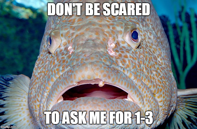 DON'T BE SCARED; TO ASK ME FOR 1-3 | made w/ Imgflip meme maker