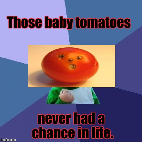 Success Kid Meme | Those baby tomatoes never had a chance in life. | image tagged in memes,success kid | made w/ Imgflip meme maker