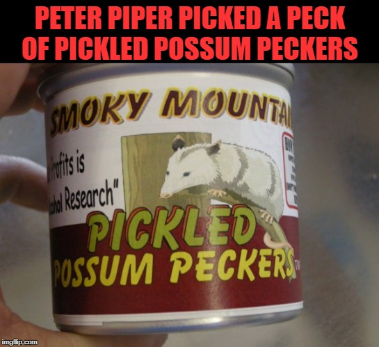 PETER PIPER PICKED A PECK OF PICKLED POSSUM PECKERS | image tagged in possum | made w/ Imgflip meme maker