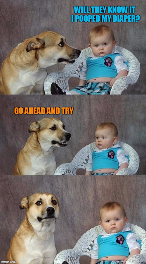 Dad Joke Dog | WILL THEY KNOW IT I POOPED MY DIAPER? GO AHEAD AND TRY | image tagged in memes,dad joke dog | made w/ Imgflip meme maker