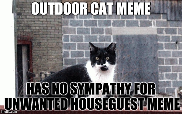 OUTDOOR CAT MEME HAS NO SYMPATHY FOR UNWANTED HOUSEGUEST MEME | made w/ Imgflip meme maker