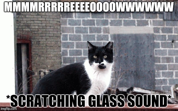 MMMMRRRRREEEEOOOOWWWWWW *SCRATCHING GLASS SOUND* | made w/ Imgflip meme maker