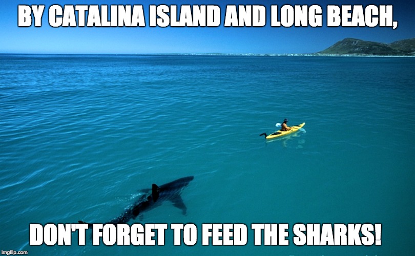 Kayak Shark | BY CATALINA ISLAND AND LONG BEACH, DON'T FORGET TO FEED THE SHARKS! | image tagged in kayak shark | made w/ Imgflip meme maker