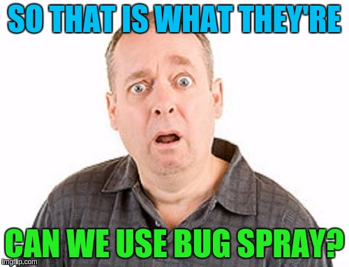 SO THAT IS WHAT THEY'RE CAN WE USE BUG SPRAY? | made w/ Imgflip meme maker