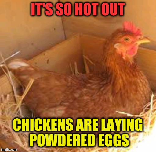 It's so hot | IT'S SO HOT OUT; CHICKENS ARE LAYING POWDERED EGGS | image tagged in powdered eggs,chicken,hot,memes,so hot right now | made w/ Imgflip meme maker
