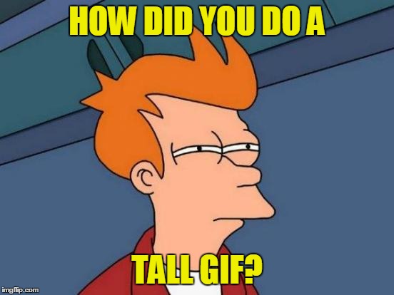 Futurama Fry Meme | HOW DID YOU DO A TALL GIF? | image tagged in memes,futurama fry | made w/ Imgflip meme maker