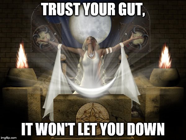 magick | TRUST YOUR GUT, IT WON'T LET YOU DOWN | image tagged in magick | made w/ Imgflip meme maker