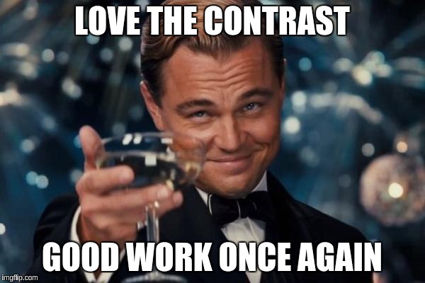 Leonardo Dicaprio Cheers Meme | LOVE THE CONTRAST GOOD WORK ONCE AGAIN | image tagged in memes,leonardo dicaprio cheers | made w/ Imgflip meme maker