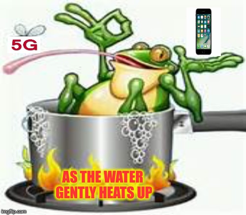 We are all frogs in a pot | AS THE WATER GENTLY HEATS UP | image tagged in memes | made w/ Imgflip meme maker