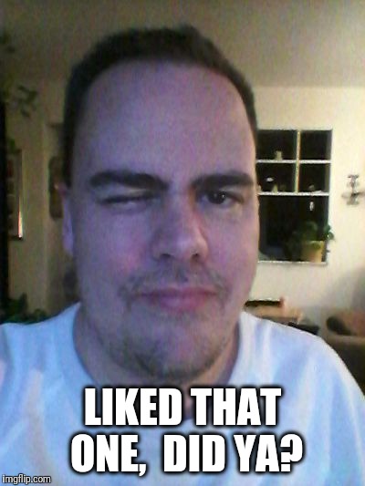 wink | LIKED THAT ONE,  DID YA? | image tagged in wink | made w/ Imgflip meme maker