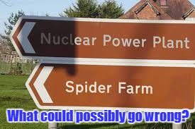 Stolen from Socrates for Stolen Memes Week™ An AndrewFinlayson Event | What could possibly go wrong? | image tagged in nuclear spiders,memes,stolen memes week,funny,socrates,andrewfinlayson | made w/ Imgflip meme maker