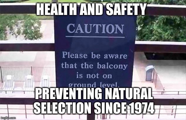 What ever happened to natural selection? | HEALTH AND SAFETY; PREVENTING NATURAL SELECTION SINCE 1974 | image tagged in natural selection,memes,safety,funny | made w/ Imgflip meme maker