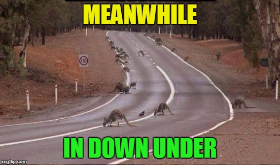 MEANWHILE IN DOWN UNDER | made w/ Imgflip meme maker