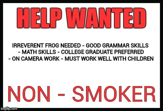 Do you know the way to Sesame Street ? | IRREVERENT FROG NEEDED - GOOD GRAMMAR SKILLS - MATH SKILLS - COLLEGE GRADUATE PREFERRED - ON CAMERA WORK - MUST WORK WELL WITH CHILDREN; NON - SMOKER | image tagged in kermit the frog,job,need,you're fired | made w/ Imgflip meme maker