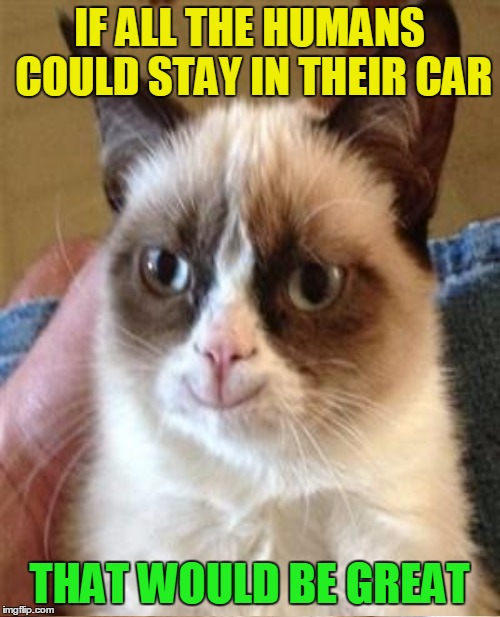 IF ALL THE HUMANS COULD STAY IN THEIR CAR THAT WOULD BE GREAT | made w/ Imgflip meme maker