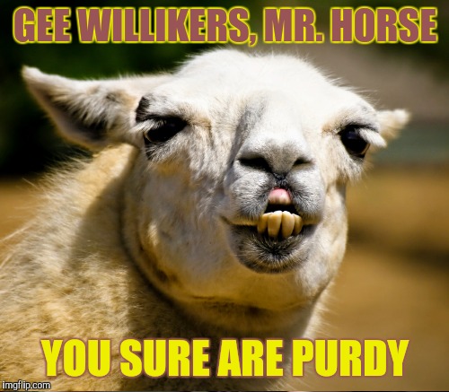 GEE WILLIKERS, MR. HORSE YOU SURE ARE PURDY | made w/ Imgflip meme maker