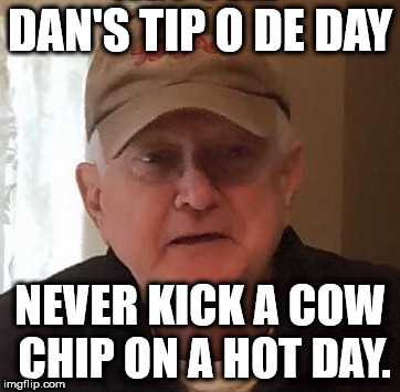 DAN'S TIP O DE DAY; NEVER KICK A COW CHIP ON A HOT DAY. | made w/ Imgflip meme maker