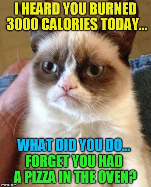A Grumpy Cat Stolen Meme | I HEARD YOU BURNED 3000 CALORIES TODAY... WHAT DID YOU DO... FORGET YOU HAD A PIZZA IN THE OVEN? | image tagged in memes,grumpy cat,stolen memes week,stolen memes,invicta103,pizza | made w/ Imgflip meme maker