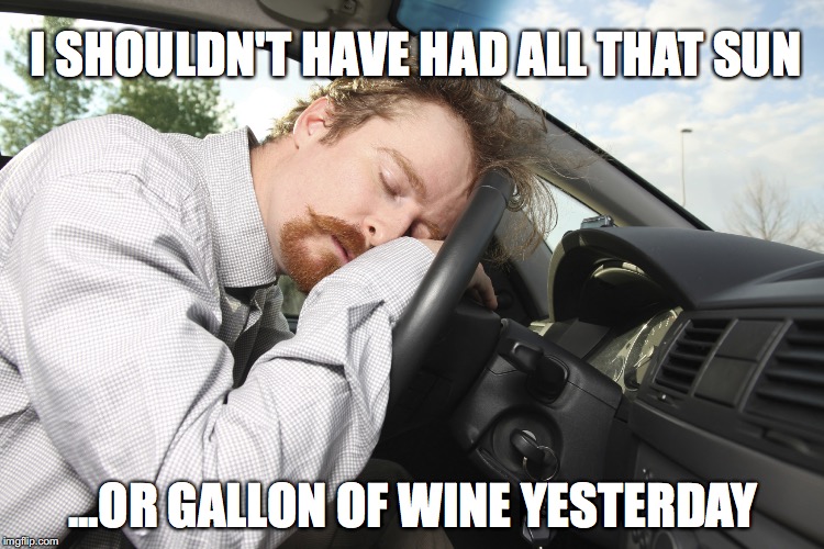 I SHOULDN'T HAVE HAD ALL THAT SUN; ...OR GALLON OF WINE YESTERDAY | made w/ Imgflip meme maker