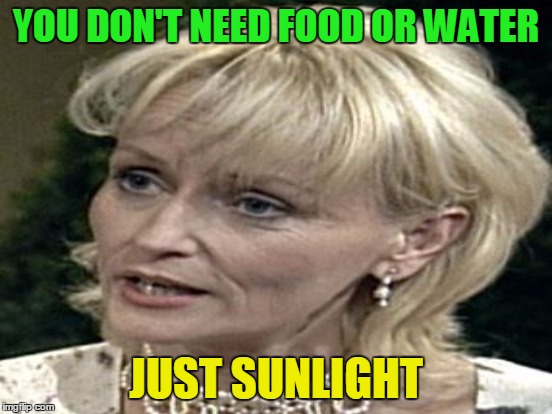 YOU DON'T NEED FOOD OR WATER JUST SUNLIGHT | made w/ Imgflip meme maker