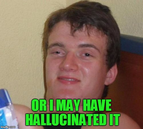 10 Guy Meme | OR I MAY HAVE HALLUCINATED IT | image tagged in memes,10 guy | made w/ Imgflip meme maker