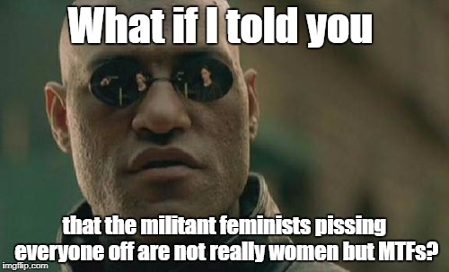 Seriously, real women don't act like that... | What if I told you; that the militant feminists pissing everyone off are not really women but MTFs? | image tagged in memes,matrix morpheus | made w/ Imgflip meme maker