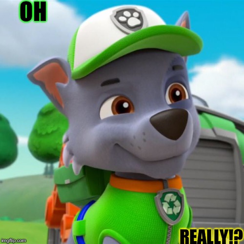 Oh really!? | OH; REALLY!? | image tagged in paw patrol,oh really | made w/ Imgflip meme maker