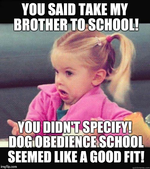 idk girl | YOU SAID TAKE MY BROTHER TO SCHOOL! YOU DIDN'T SPECIFY! DOG OBEDIENCE SCHOOL SEEMED LIKE A GOOD FIT! | image tagged in idk girl | made w/ Imgflip meme maker
