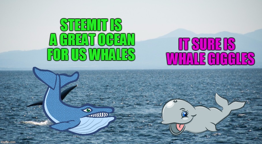 IT SURE IS   WHALE GIGGLES; STEEMIT IS A GREAT OCEAN FOR US WHALES | made w/ Imgflip meme maker