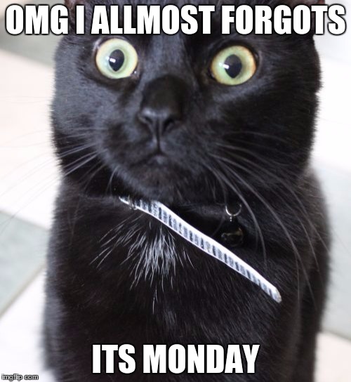 Woah Kitty | OMG I ALLMOST FORGOTS; ITS MONDAY | image tagged in memes,woah kitty | made w/ Imgflip meme maker