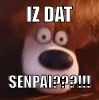 IZ DAT; SENPAI???!!! | image tagged in iz dat senpai | made w/ Imgflip meme maker