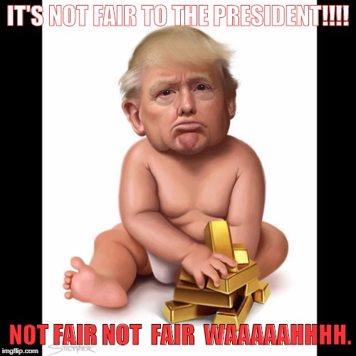 Trump Baby | IT'S NOT FAIR TO THE PRESIDENT!!!! NOT FAIR NOT 
FAIR 
WAAAAAHHHH. | image tagged in trump baby | made w/ Imgflip meme maker