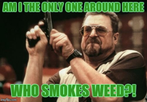 I can't possibly be... but I wonder at times | AM I THE ONLY ONE AROUND HERE; WHO SMOKES WEED?! | image tagged in memes,am i the only one around here,420,weed | made w/ Imgflip meme maker
