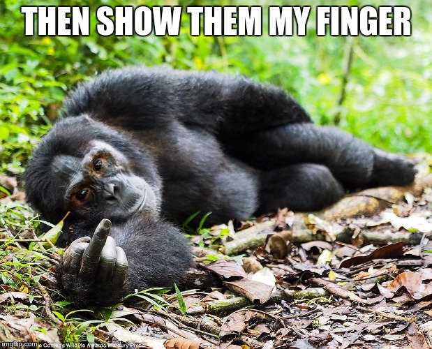 THEN SHOW THEM MY FINGER | made w/ Imgflip meme maker