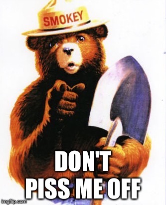 I'LL CRUSH YO ASS DEAD OUT, MOFO! | PISS ME OFF; DON'T | image tagged in wildfire,smokey the bear | made w/ Imgflip meme maker