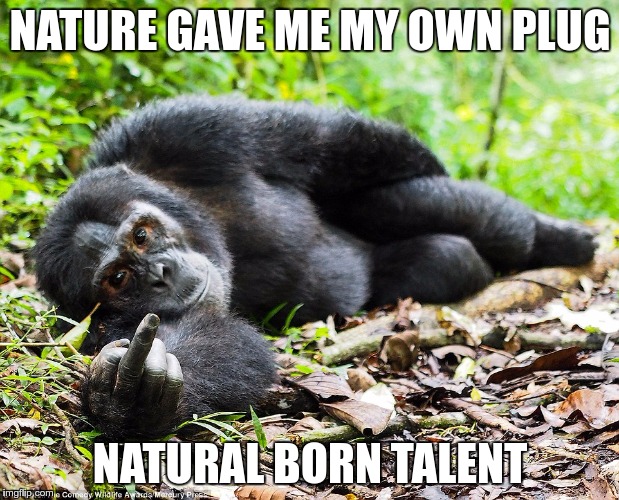 NATURE GAVE ME MY OWN PLUG NATURAL BORN TALENT | made w/ Imgflip meme maker
