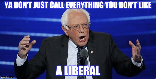 YA DON'T JUST CALL EVERYTHING YOU DON'T LIKE A LIBERAL | made w/ Imgflip meme maker