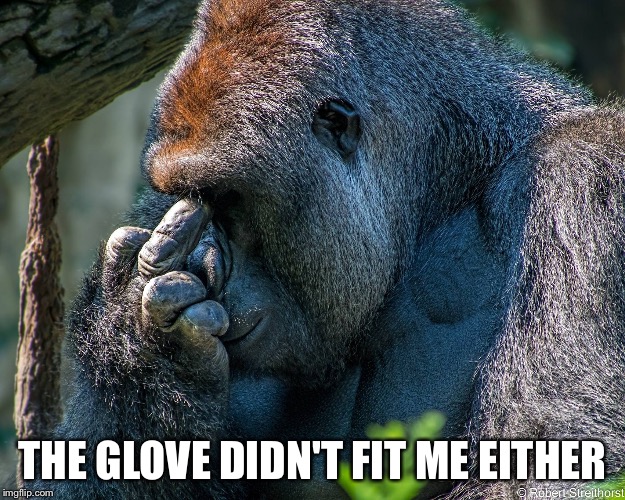 Harambe Middle Finger | THE GLOVE DIDN'T FIT ME EITHER | image tagged in harambe middle finger | made w/ Imgflip meme maker