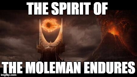 Eye Of Sauron Meme | THE SPIRIT OF; THE MOLEMAN ENDURES | image tagged in memes,eye of sauron | made w/ Imgflip meme maker