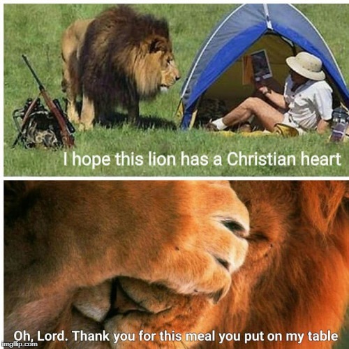 Is it a sin to steal/re-post a Christian Meme? | image tagged in stolen memes week,christian,prayer,lion,memes | made w/ Imgflip meme maker